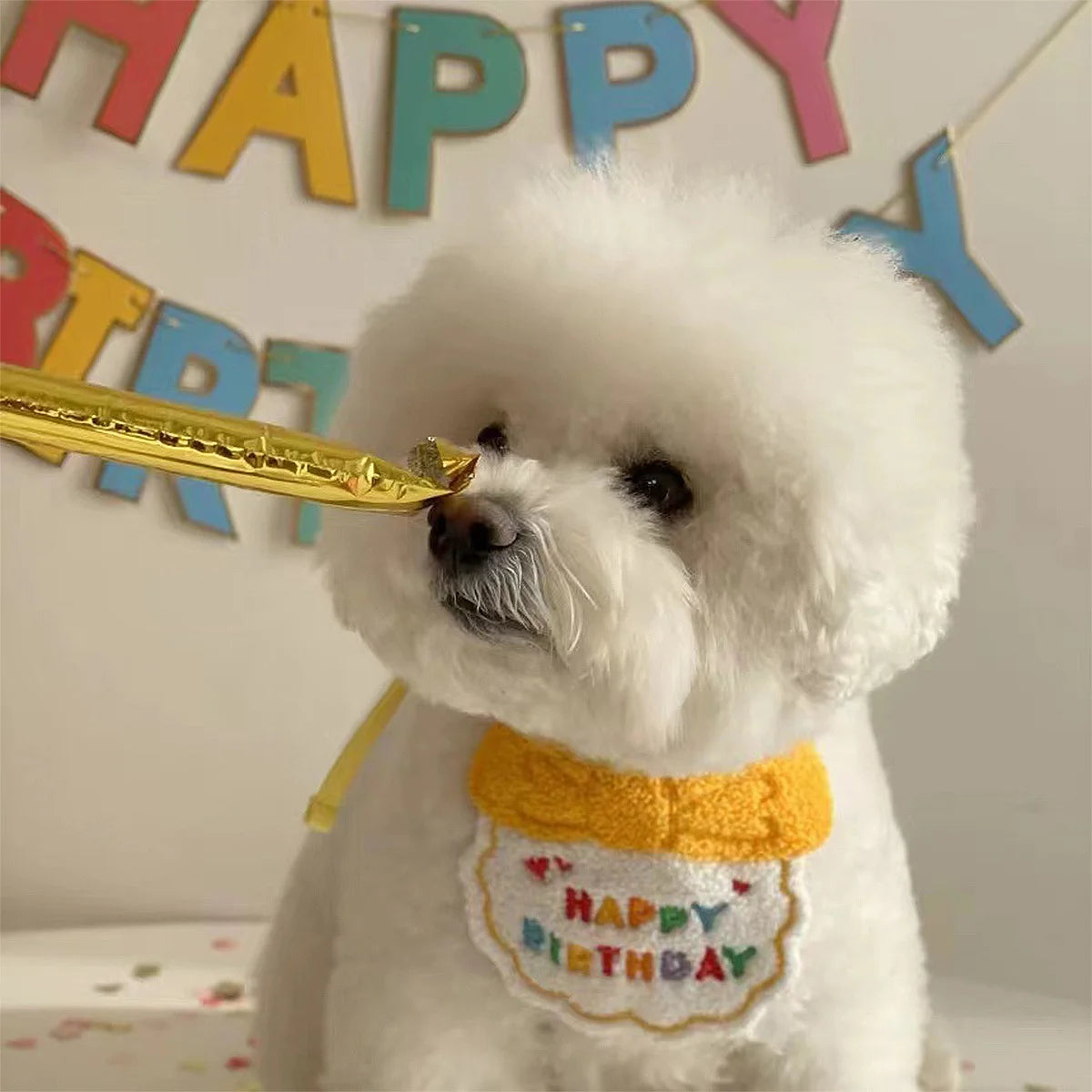 Make Your Pet's Birthday Special with this Adorable Dog Birthday Hat & Bandana Set!