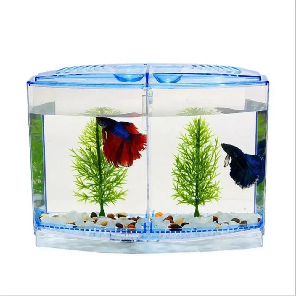 Transparent Betta Fish Tank with Water Grass, Plastic Double-Grid Betta Isolation Box, Single and Double Grid