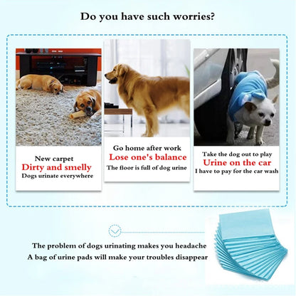 Dog Training Pee Pads – 20–100pcs Absorbent Pet Diapers