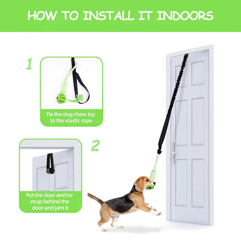 Interactive Dog Toy Spring Rope Dogs Outdoor and Indoor Hanging Pull Rope Ball Bite Resistant Chew Toys Training Pet Accessories