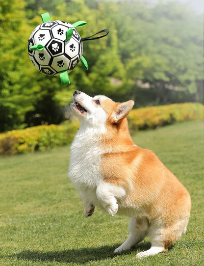 Kimpets Dog Interactive Football Toys Children Soccer Dog Outdoor Training Balls Dog Sporty Bite Chew Teething Ball Pet Supplies