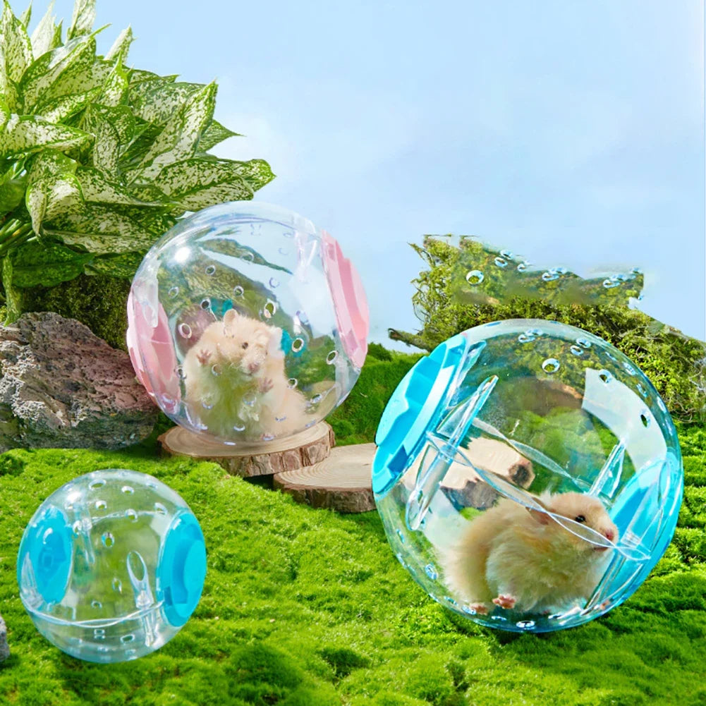 倉鼠健身球透明倉鼠跑步球輪帶牽引繩適用於小動物寵物用品14公分/18厘米