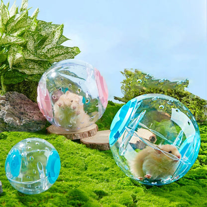 倉鼠健身球透明倉鼠跑步球輪帶牽引繩適用於小動物寵物用品14公分/18厘米
