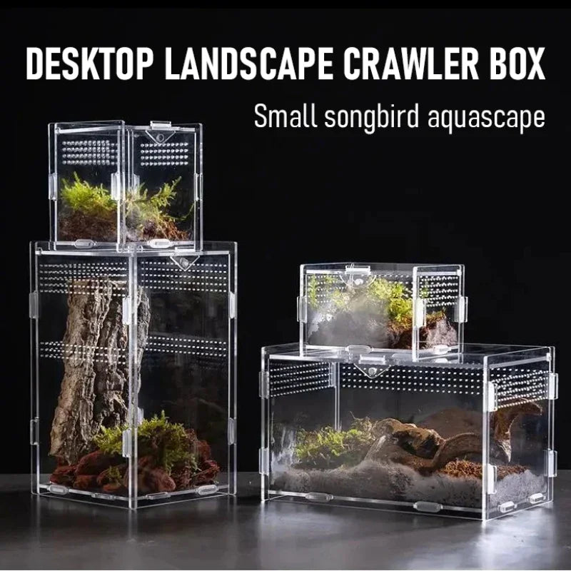 Reptile Acrylic Transparent Terrarium Habitat Breeding Box Reptiles Cage Nano Arboreal Tarantula Enclosure Bearded Dragon