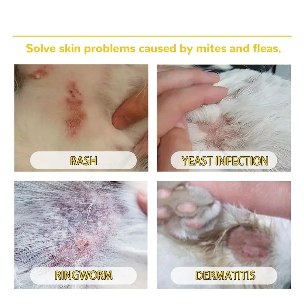 1pcs Dogs And Cats Anti Flea Drops Lice Remove Relieve Skin Itching Insect Supplies Pet Treatment Drops External Tick Repel K6D1