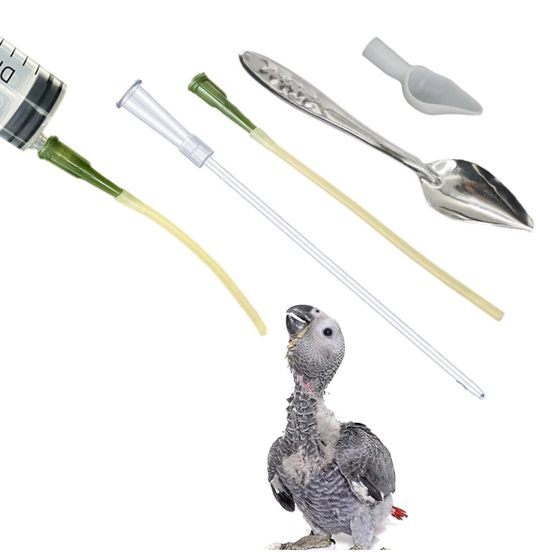 Bird Feeding Dropper Hose Small Pet Feeder Water Needle Tube Liquid Injection Hose Parrot Feeding Syringe Spoon Kits