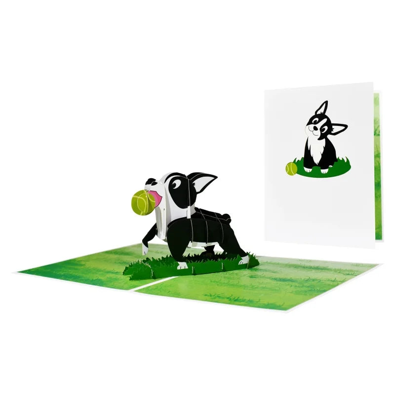 3D Animals Pop up Party Greeting Postcards Gifts Card Cat Dog Gift for Kids Birthday