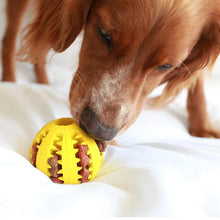 dog treat feeder ball, interactive dog toy, dog chew toy, puppy training toy, bite resistant dog ball, dog dental cleaning toy, food dispensing ball for dogs, rubber chew ball, slow feeder toy for puppies, small dog chew toy