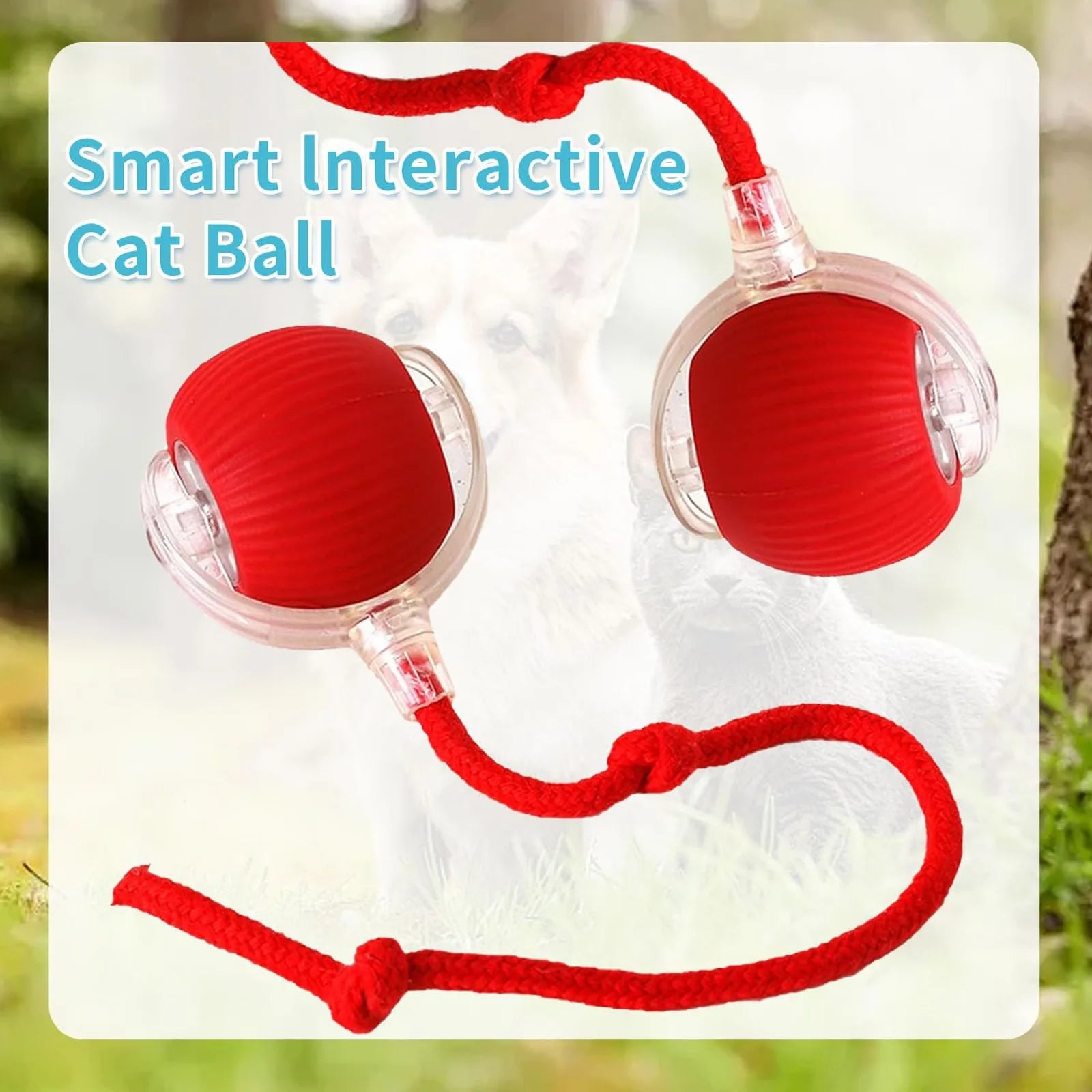 Rolling Ball, Smart Interactive Dog Toys, Electric Cat Toy Ball Rechargeable 2024 Pet Toys