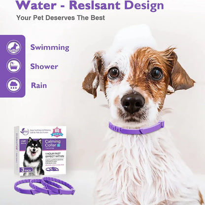 Pet Calming Collar for Cats & Dogs – Lavender & Chamomile