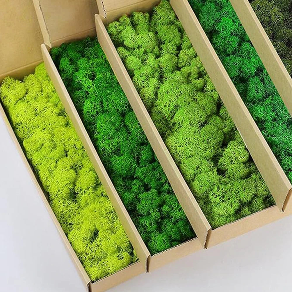 Artificial Green Plants Fake Grass Eternal Life Moss Grassfor Home Living Room Garden Decor Mini Landscape DIY Crafts 200g