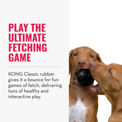 KONG Extreme Ball with Hole - Fetch Toy - Durable Dog Toy  - Natural Extreme Rubber Ball - Black - for Large/Medium Dogs