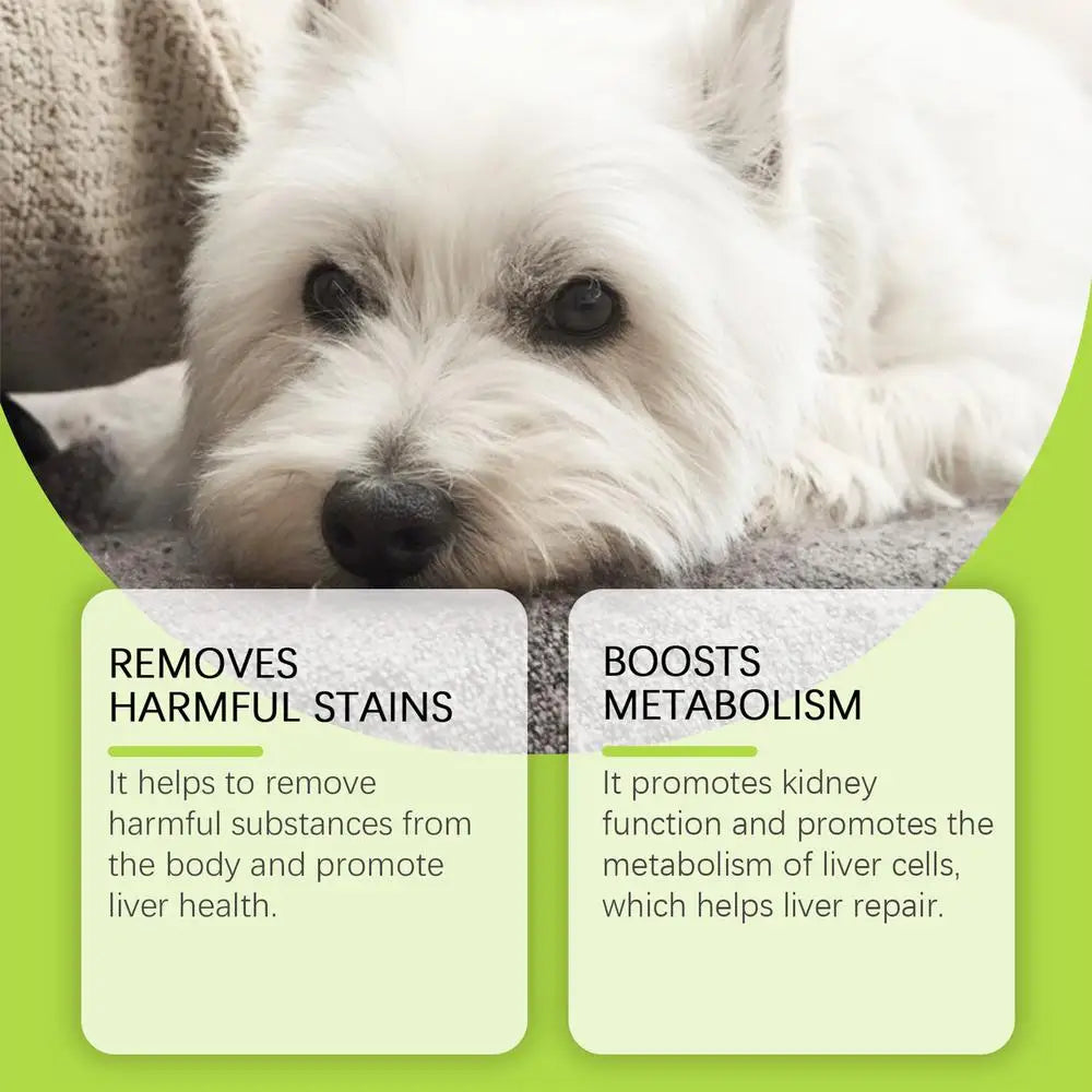 Hip And Joint Supplement Dogs Liquid Dog Multivitamin Dog Multivitamin Puppy Multivitamin Dog Supplement Drops For Puppies Adult
