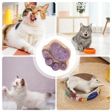 肉球型キャットトリーツ キャットスナック 肉球型ビスケット キャットビスケット ナチュラルヘルシーキャットトリーツ ドライキャットトリーツ 子猫用トリーツ 肉球型キャット