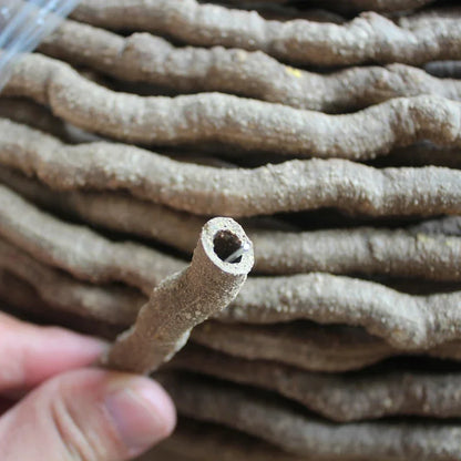 1M Artificial Flexible Reptile Vines Rattan Chameleon Lizard Terrarium Branches Bendable Jungle Reptile Pet Habitat Decoration