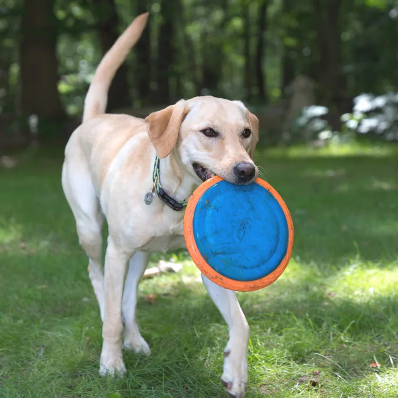 HERO Dog Toys Flying Disc Squeaky Interactive Dog Toy Suitable for Medium or Large Dogs