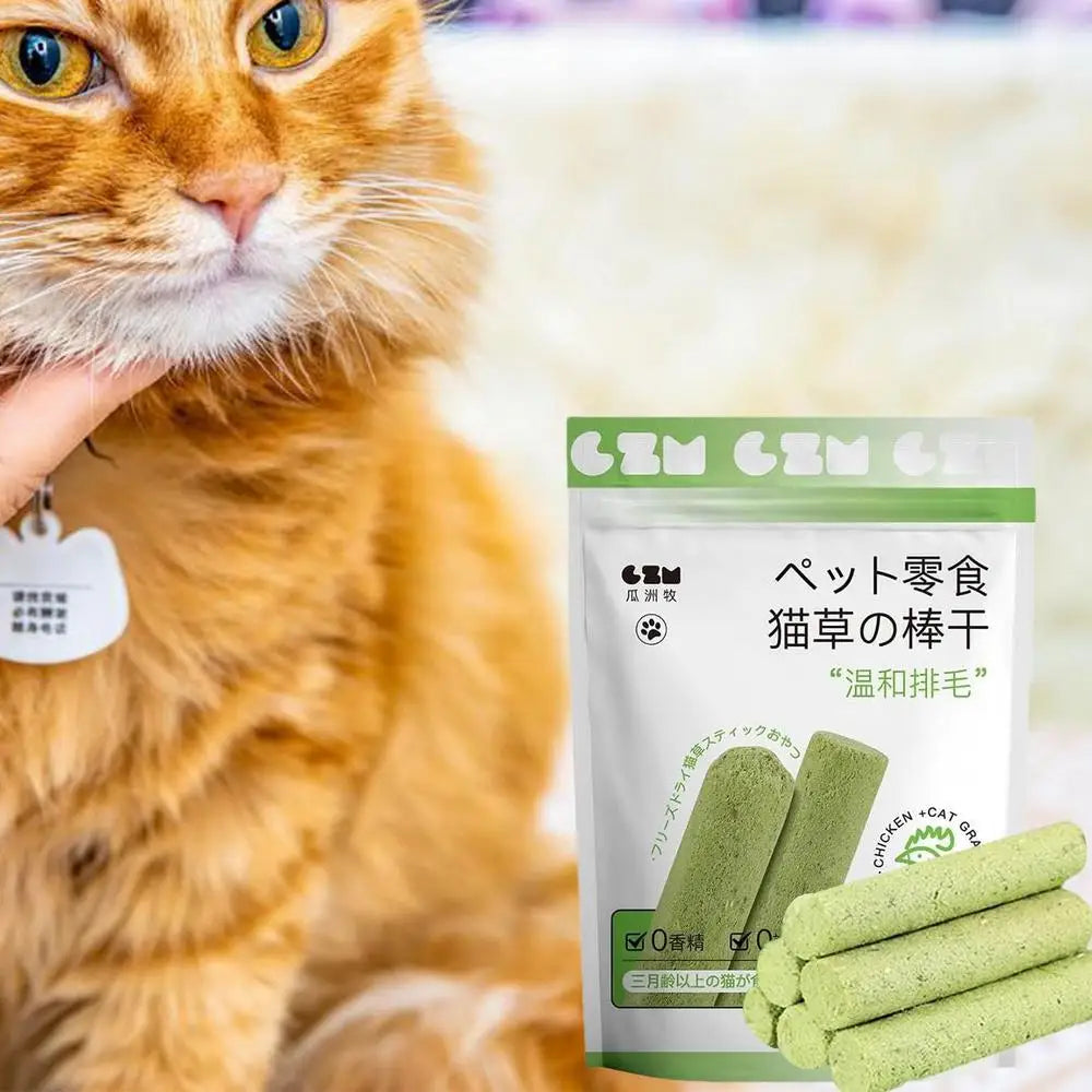 貓草棒貓草咀嚼棒天然牙齒清潔劑去除排骨幼貓寵物零食牙齒護理幼貓口腔健康