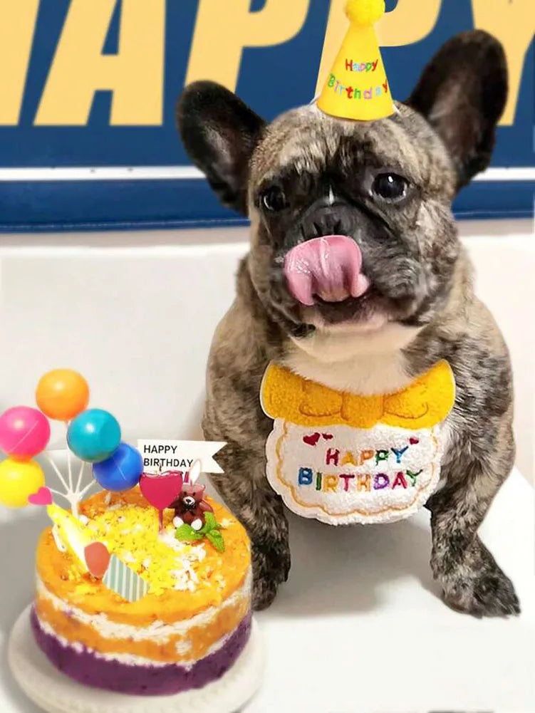 貓狗生日圍兜和派對帽迷你小狗可調式頭巾圍巾寵物生日服裝小狗用品