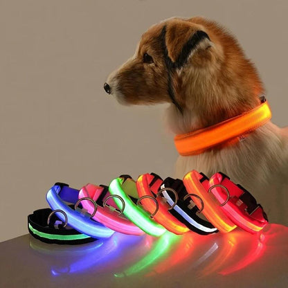 ナイロン製LED夜間安全点滅暗闇で光る犬用リード 犬用 蛍光色 ペット用首輪