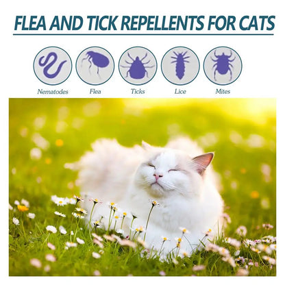 Pet Flea Killer Drops Anti Fleas Cats Ticks Lice Mite Ringworm Removal Itching Dogs Treatment Pet Removal Insect Relieve Dr G4B2
