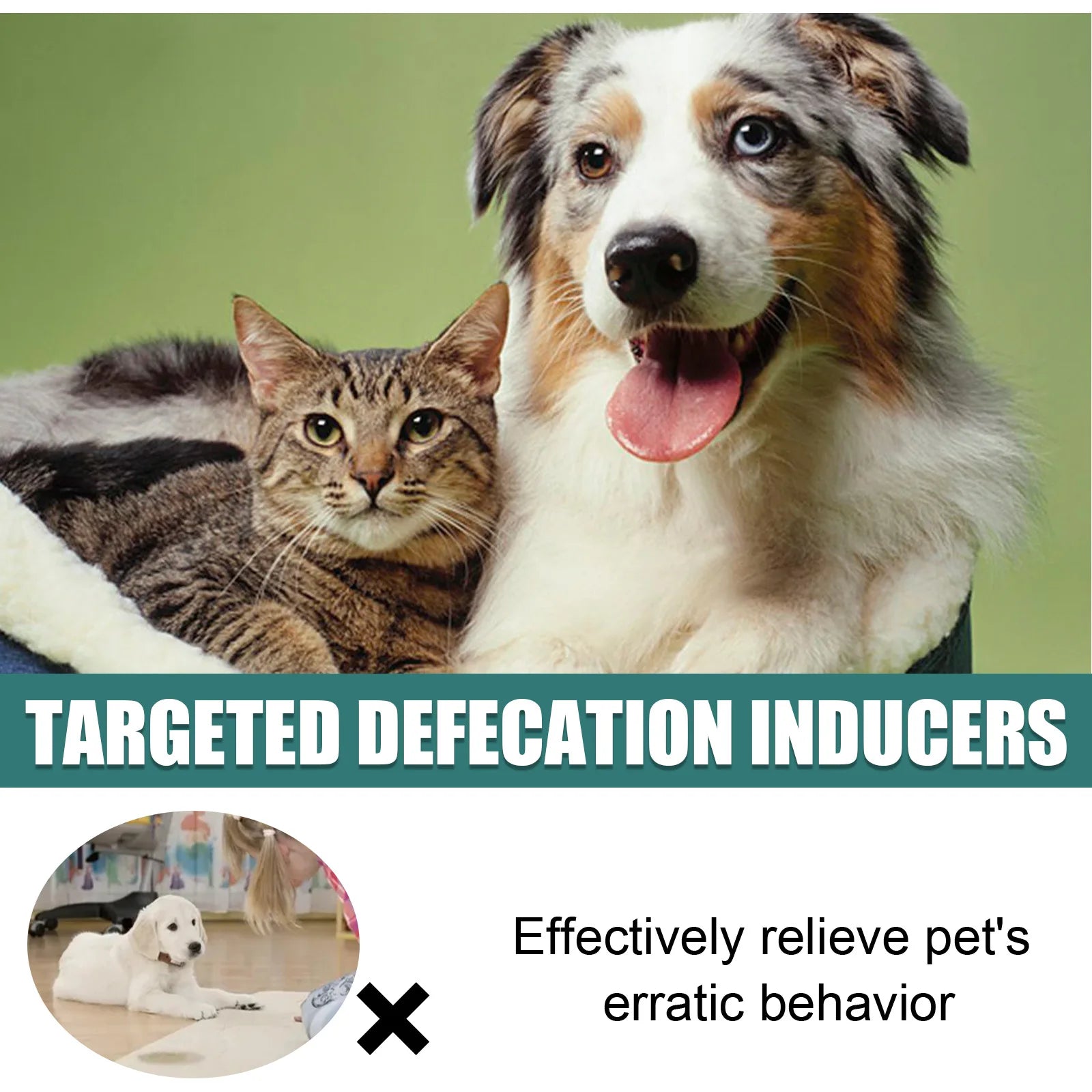 Pet Toilet Training Spray Inducer Dog Poops Cat Pee Positioning Defecation Puppy Stool Location Indoor Pet Potty Training Spray