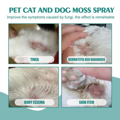 Pet Skin Care Spray 30ml Dogs and Cats Skin Problems Moss Spray Pet Cleaning Care Anti-Itch Spray Dog Cat Healthy Care Supplies