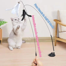 貓咪玩具羽毛棒互動玩具小貓玩具帶超級吸盤可拆式羽毛替換件貓咪配件
