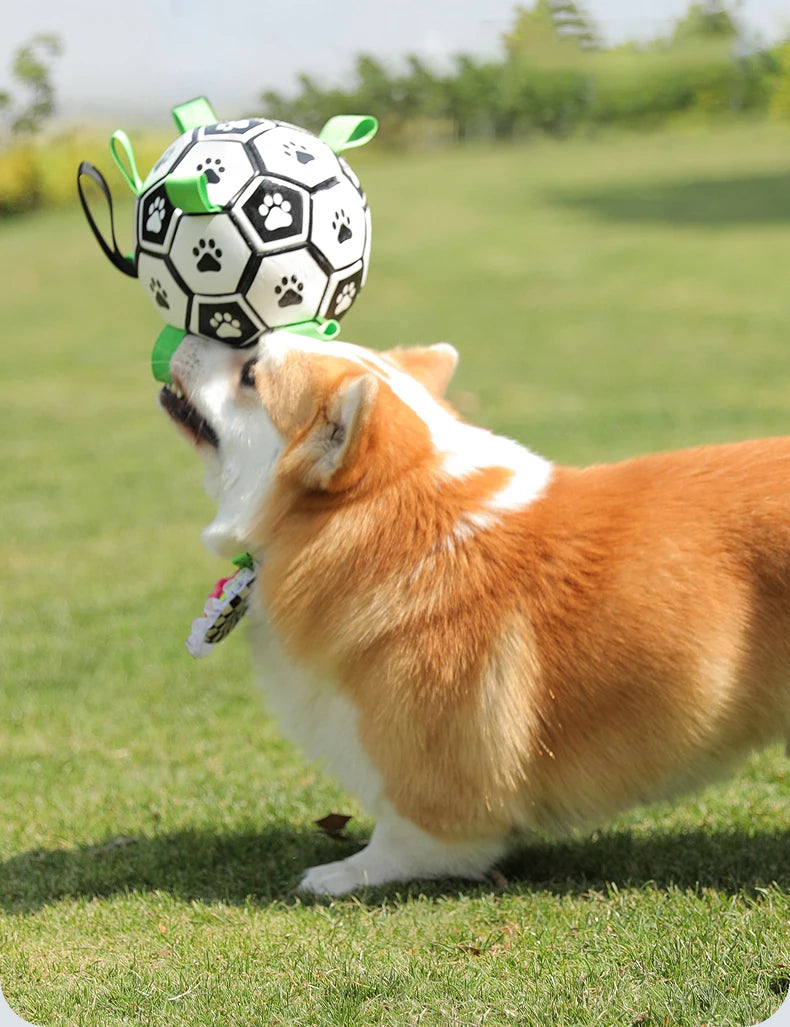 Kimpets Dog Interactive Football Toys Children Soccer Dog Outdoor Training Balls Dog Sporty Bite Chew Teething Ball Pet Supplies