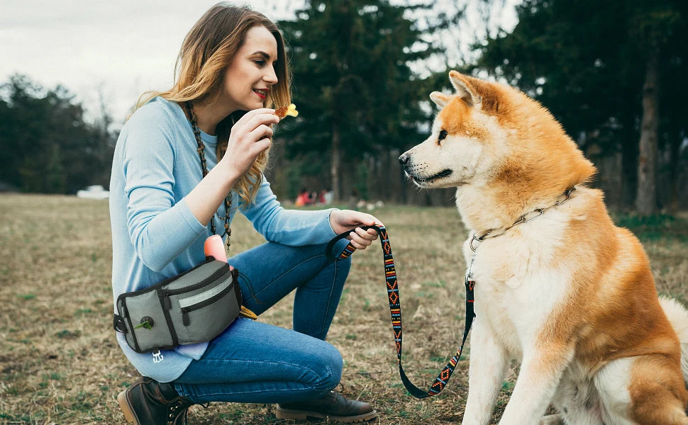 Dog Treat Pouch for Training Outdoor Dog Treat Pouch Training Feeding Bag Large Capacity Pet Trainer Reward Waist Bag Dog Supply