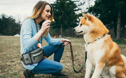 Dog Treat Pouch for Training Outdoor Dog Treat Pouch Training Feeding Bag Large Capacity Pet Trainer Reward Waist Bag Dog Supply