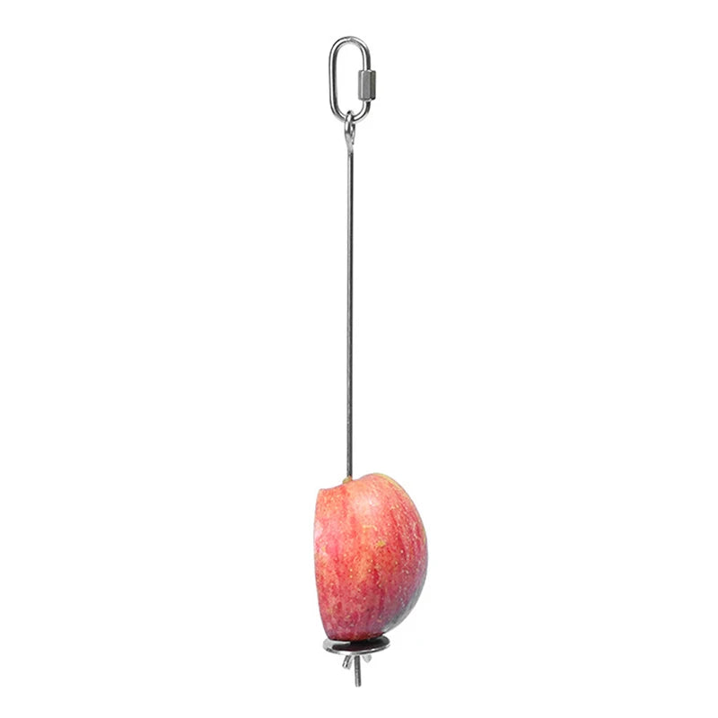 Parrot Stainless Steel Fruit Fork Corn Apple Fork Toy Bird Cage Supplies Bird Fruit Insert Feeder Pet Parrot Accessories