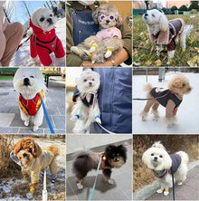 20個/包寵物狗一次性鞋套防水防滑狗爪保護便攜式戶外遛狗襪子寵物用品