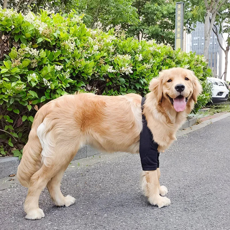 犬用肘プロテクター 肘ブレースパッド 中型犬・大型犬用 犬用膝パッド 衣類関節保護カバー 耐摩耗性 ペット用品