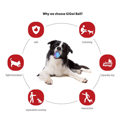 Interactive Dog Ball Pet Toys G-Ball Series Squeaky 2.5' Bouncy Assorted Colors for Small/Medium Dogs