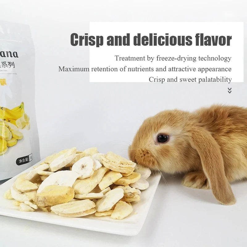 Pet Freeze Dried Banana Slice 60g Rabbit Totoro Guinea Pig Hamster Snack Dried Banana Vitamin Supplement