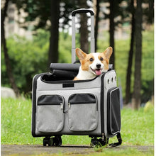 Large Capacity Pet Backpack, Convenient Travel Stroller for Animals, Reinforcement Rod, Dog Seat, Multi Functional Dogs Basket