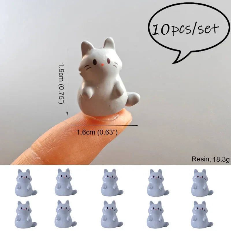 50667574198485