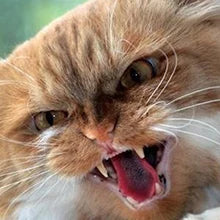 Poursweet 犬用舐めマット 吸​​盤付き スローフィーダー ペットの不安解消 猫の食事、ヨーグルト、ピーナッツバターのトレーニングに