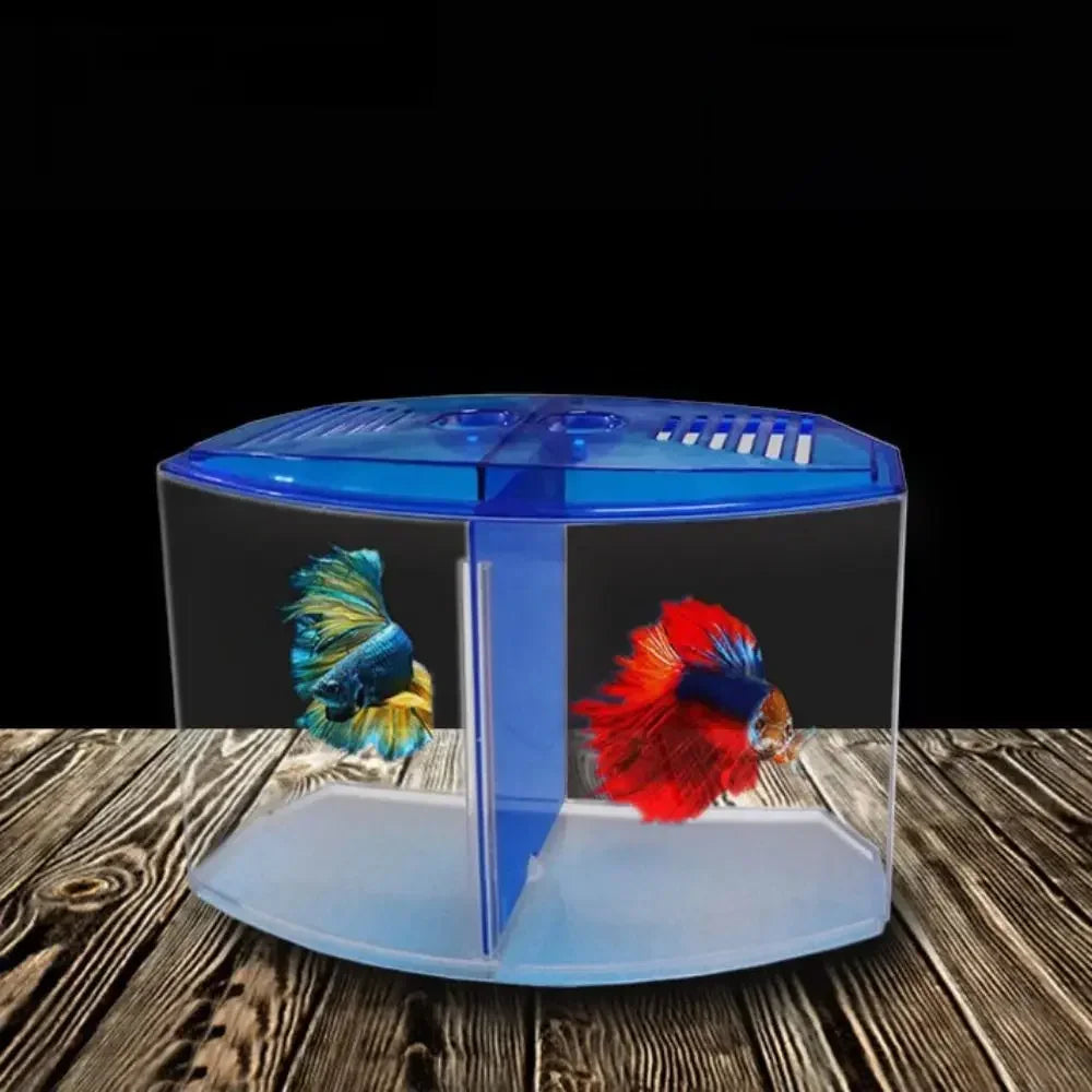 Transparent Betta Fish Tank with Water Grass, Plastic Double-Grid Betta Isolation Box, Single and Double Grid