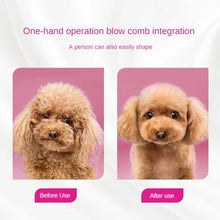 Pet Hair Dryer Soft Combing Integrated Small and Medium-sized Cat and Dog Hair Dryer Dog and Cat Blow Drying Silent Hair Drying