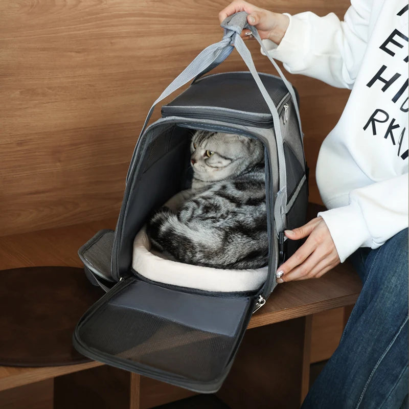 Cat Bags Soft-Sided Portable Dog Carrier Mesh Breathable Carrier Bags Foldable Cats Handbag Travel Pet Bag Transport Bag