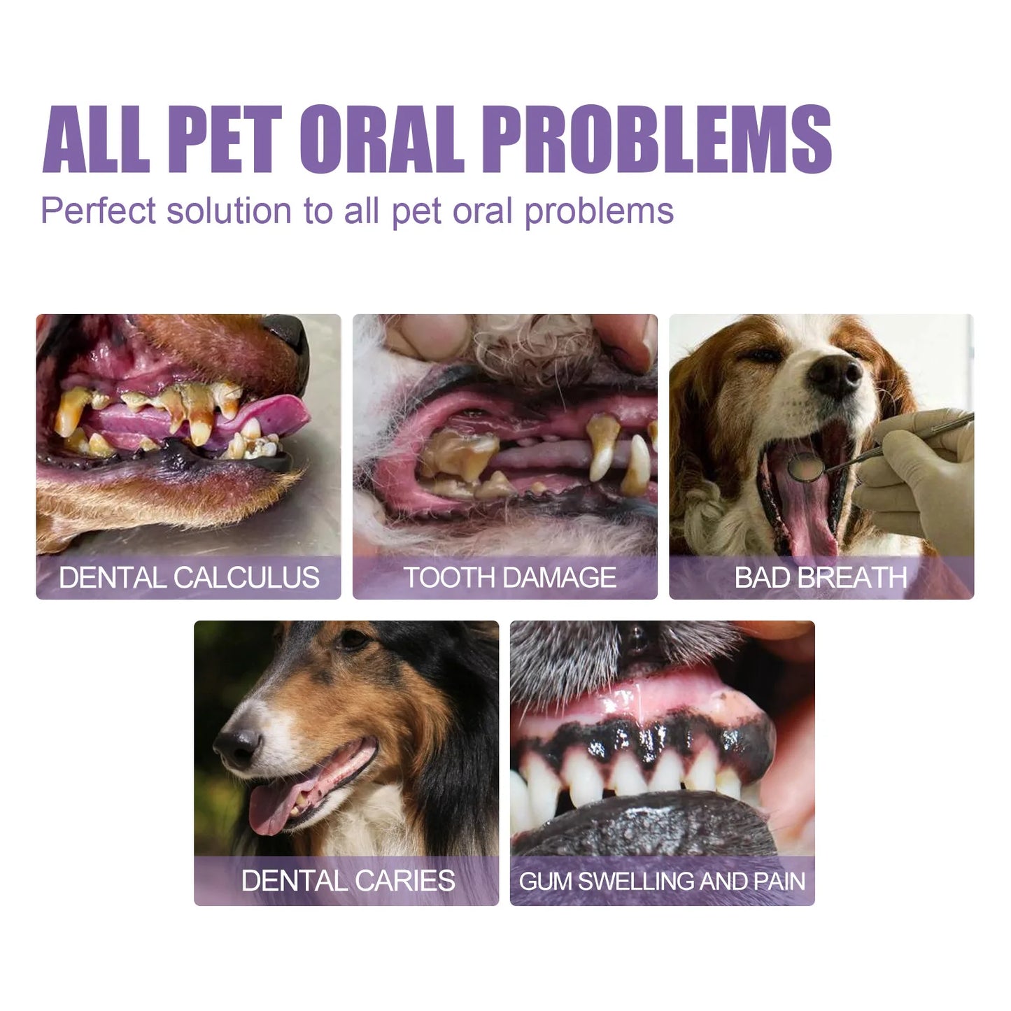 Dog Oral Cleaning Gel Tooth Stain Cleaner Remove Dental Stakes Tartar Plaque Eliminator Fresh Breath Pets Tooth Whitening Pen