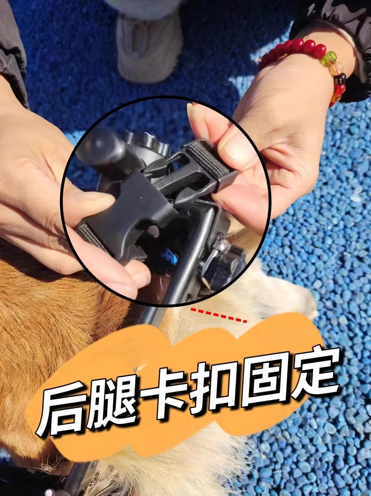 Pet Wheelchair Dog Wheelchair Hind Limb Paralysis Disabled Elderly Pet Scooter Dog Rehabilitation Walking Assist Vehicle