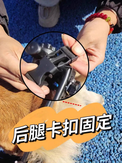 Pet Wheelchair Dog Wheelchair Hind Limb Paralysis Disabled Elderly Pet Scooter Dog Rehabilitation Walking Assist Vehicle