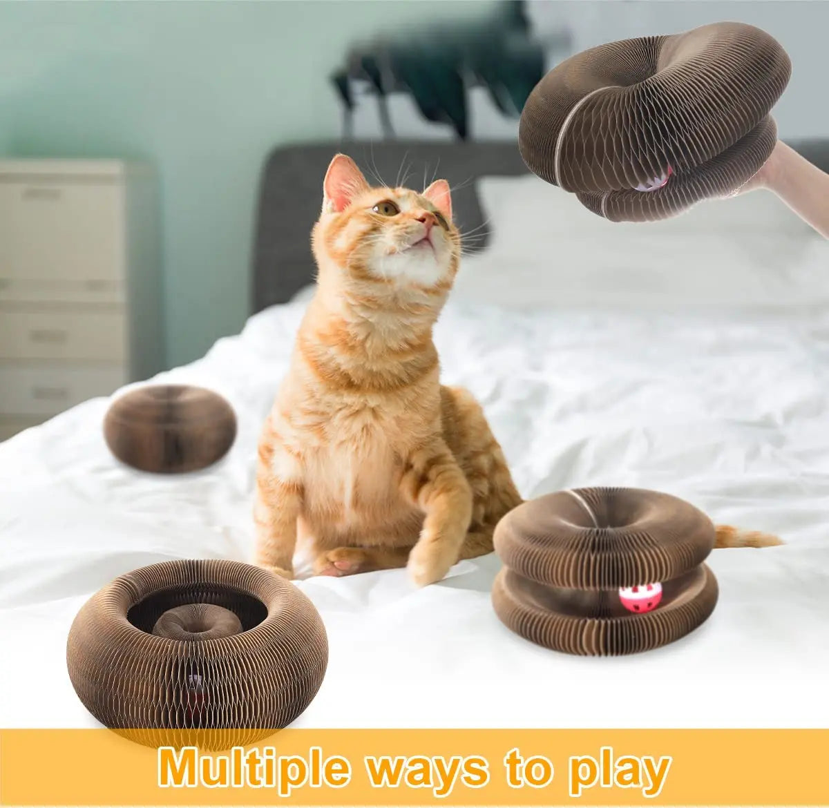 Magic Organ Cat Toy Cats Scratcher Scratch Board Round Corrugated Scratching Post Toys for Cats Grinding Claw Cat Accessories