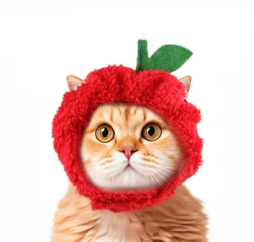面白いペットヘッドバンド ぬいぐるみ 毛糸 猫 犬 キャップ パンダ 豚 ペット 暖かい ペット帽子 ひよこ コスプレ用品 ヘッドドレス コスチューム