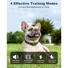 Dog Shock Collar with Remote, 3300FT Range, Waterproof