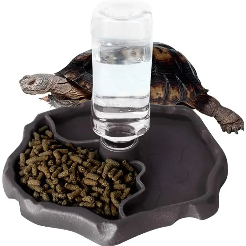 Reptile Feeders Waterer Automatic-refilling Turtle Water Dispenser Bottle Tortoise Food Water Bowl Feeding Dish for Lizards