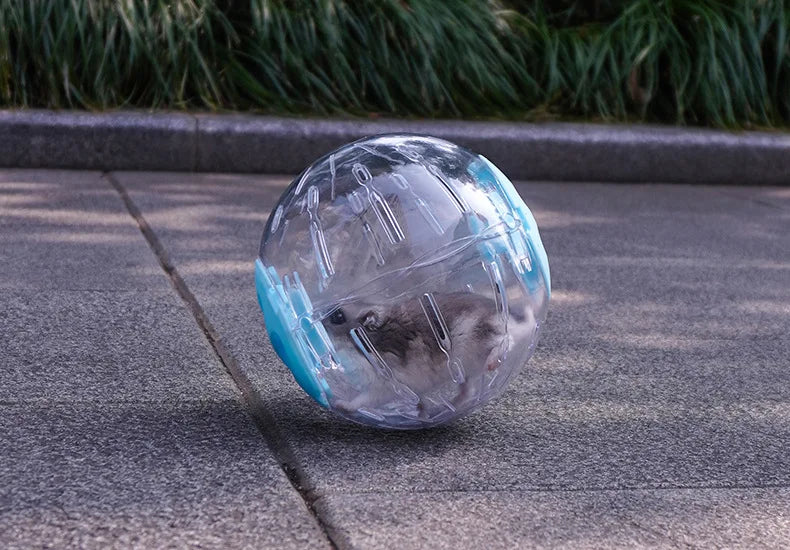 プラスチック製アウトドアスポーツボールグラウンダーラット小動物マウスジョギングボールおもちゃハムスタージャービルエクササイズボールプレイおもちゃ小動物用品