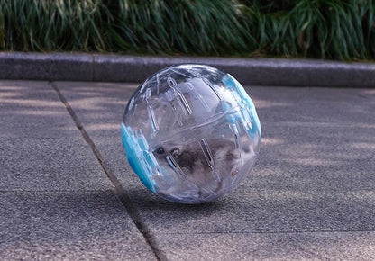 プラスチック製アウトドアスポーツボールグラウンダーラット小動物マウスジョギングボールおもちゃハムスタージャービルエクササイズボールプレイおもちゃ小動物用品